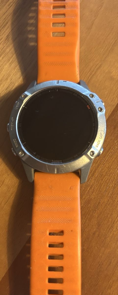 Garmin Smartwatch: Garmin Fenix 6 Sapphire Titanium – Usato da Bonaduz venduto da lar_7t2x 4