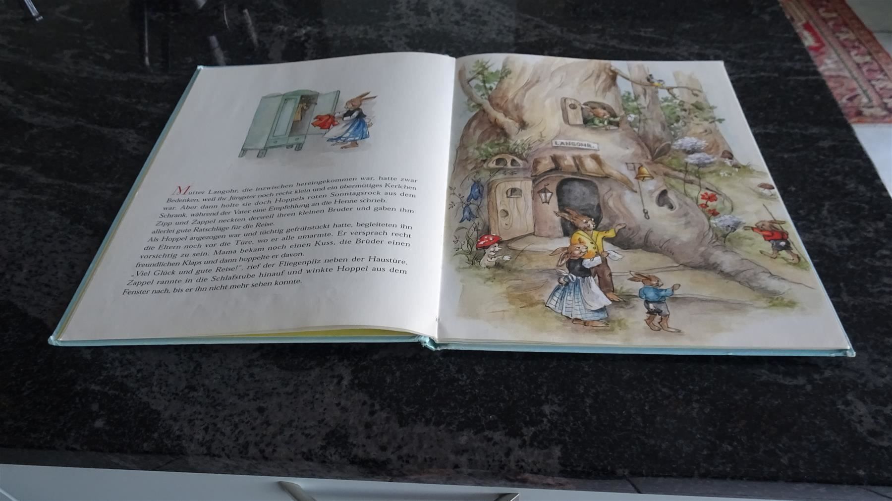 Libri: Hoppel Langohr   von Lore Hummel   1998 – Usato da Zürich venduto da Roulet 4