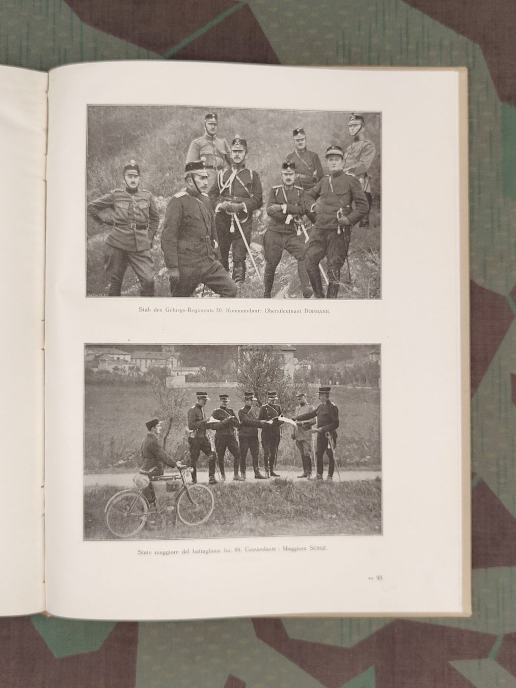 Schweizer Armee Uniformi: Album 5. Division 1915, mit Widmung – Usato da Bauma venduto da SwissMilitaria 5