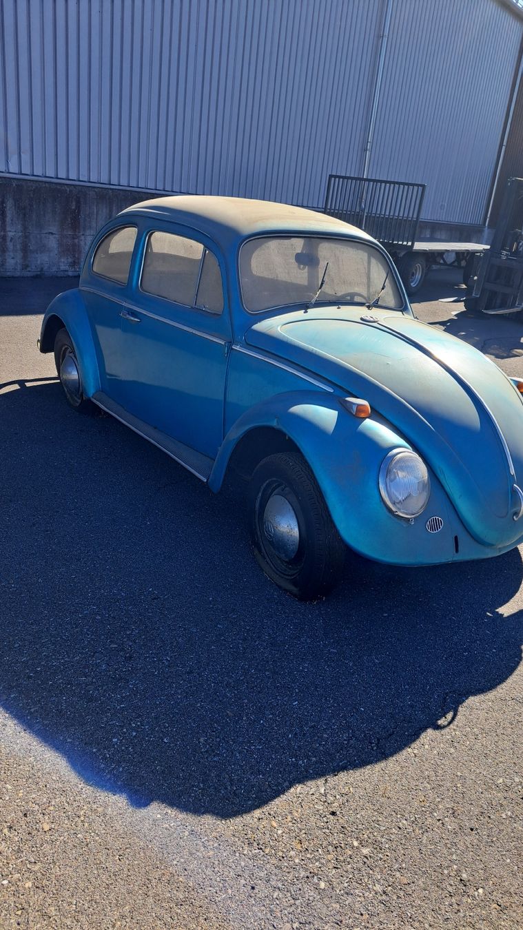VW Automobili: VW Käfer JG 1964 – Difettoso da Felben-Wellhausen venduto da val_js86 1