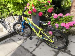 KTM Kinder Velo 24 Zoll