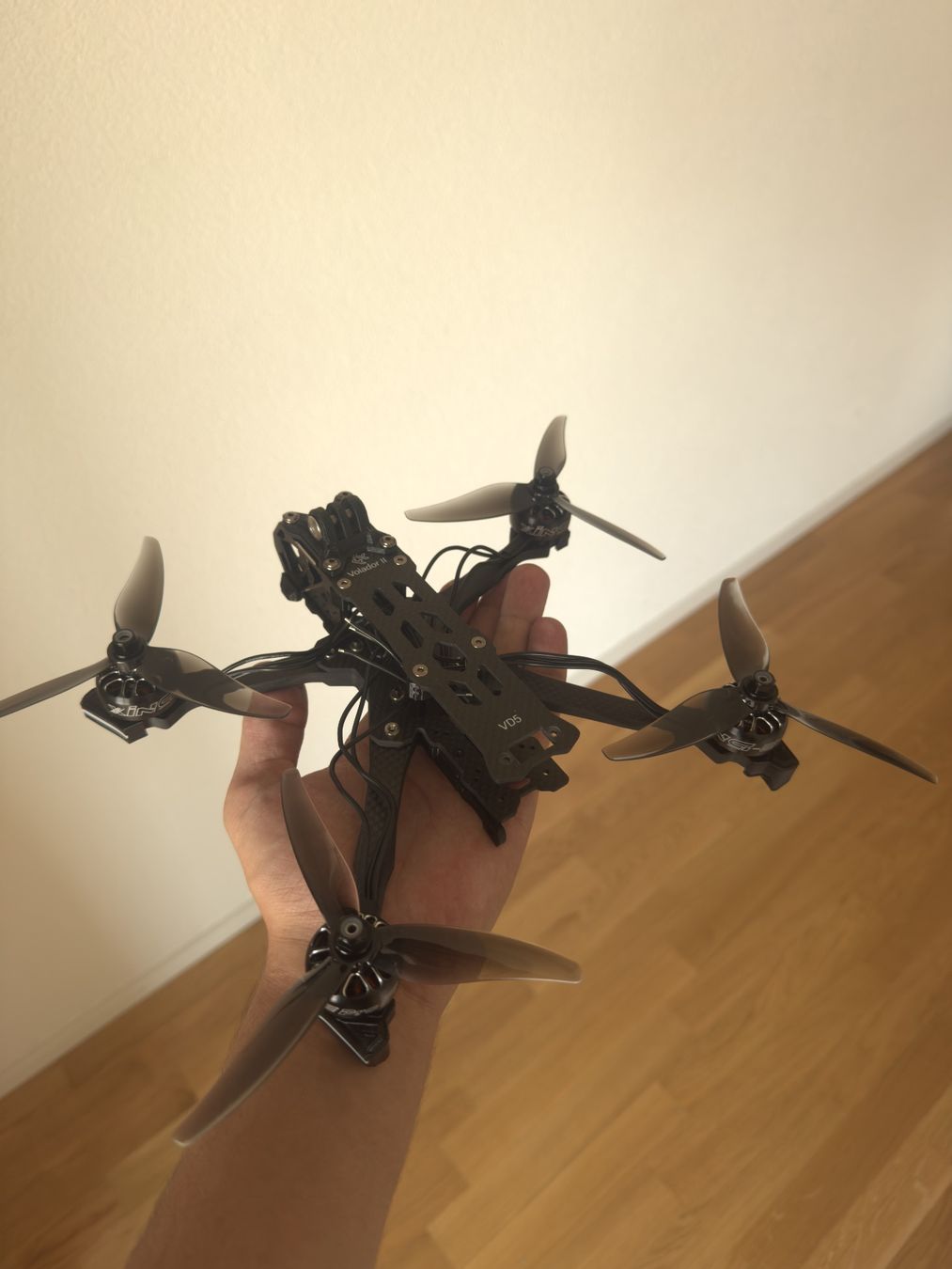 Modellismo RC: Selbstgebaute FPV Drohne – Nuovo (secondo la descrizione) da Fribourg venduto da nab_29l6 2