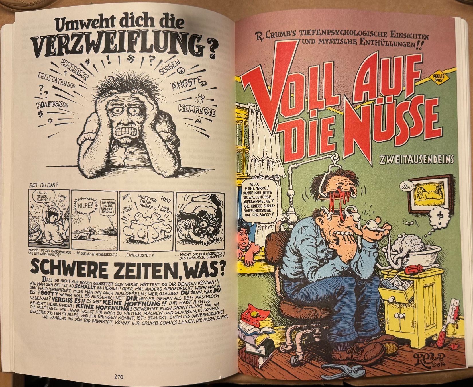 Libri: R. Crumb Sketchbook – Usato da Wettswil venduto da osoma99 4