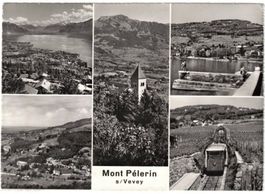 Vevey - 5 Bild AK Mont Pèlerin