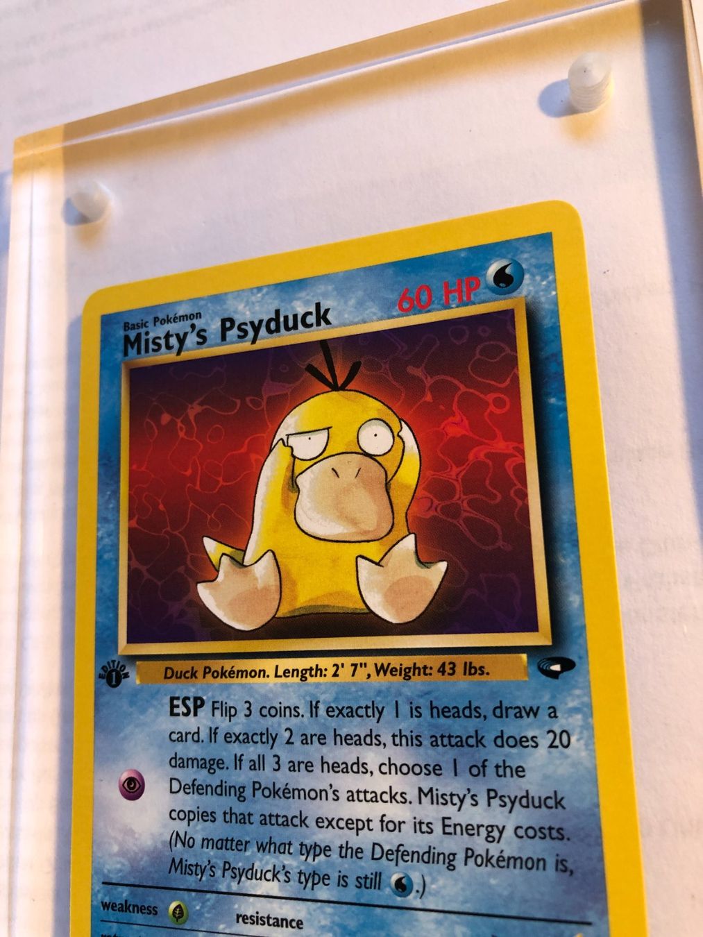 Sammelbilder & Trading cards: Misty's Psyduck 1st Gym Challenge - MINT - ab 1.- – Gebraucht aus Giubiasco von dan_pr8b 3