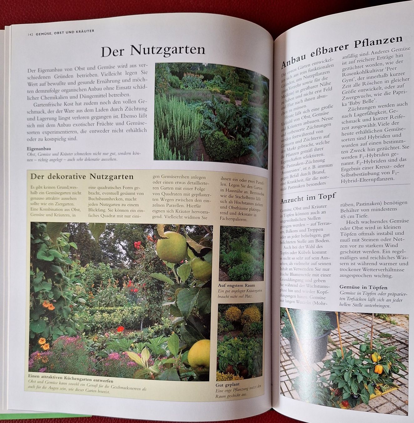Libri: Buch Garten Handbuch 2000 – Usato da Oberriet SG venduto da Atir47 8
