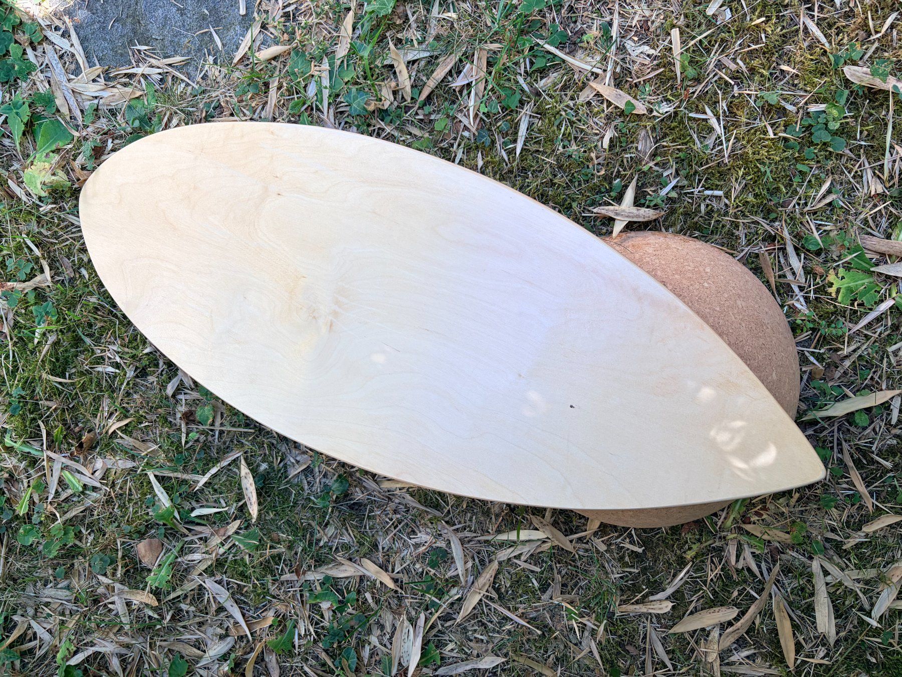 Hometrainer: Surfin Balance Board das Original – Usato da Männedorf venduto da andreamaria01 4