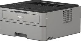 Brother Laserdrucker HL-L2350 DW