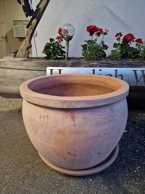 Vasi per fiori: Terrakotta Topf – Usato da Schüpfheim venduto da Prisi62