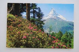 AK Riffelalp ob Zermatt, Matterhorn
