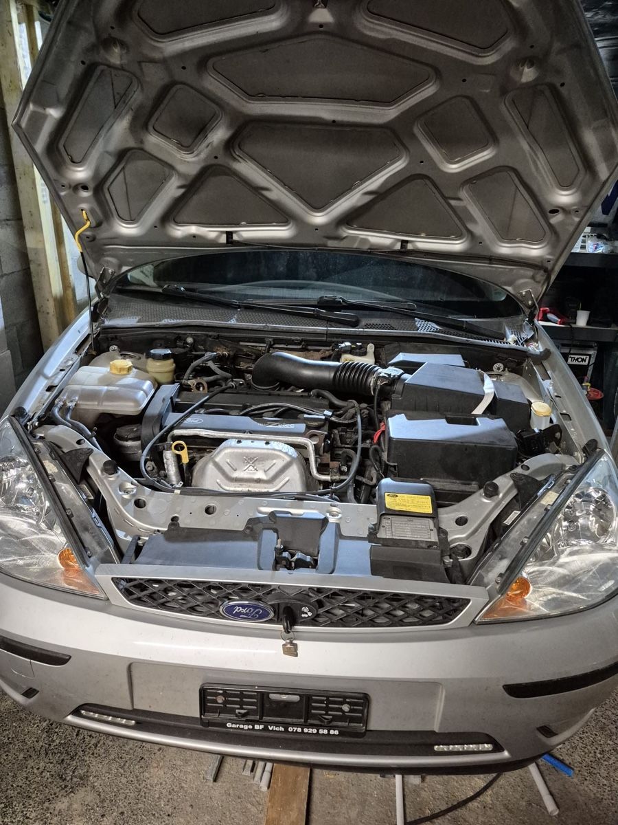 Ford Automobili: Ford Focus – Usato da Thônex venduto da mar_pz72 5