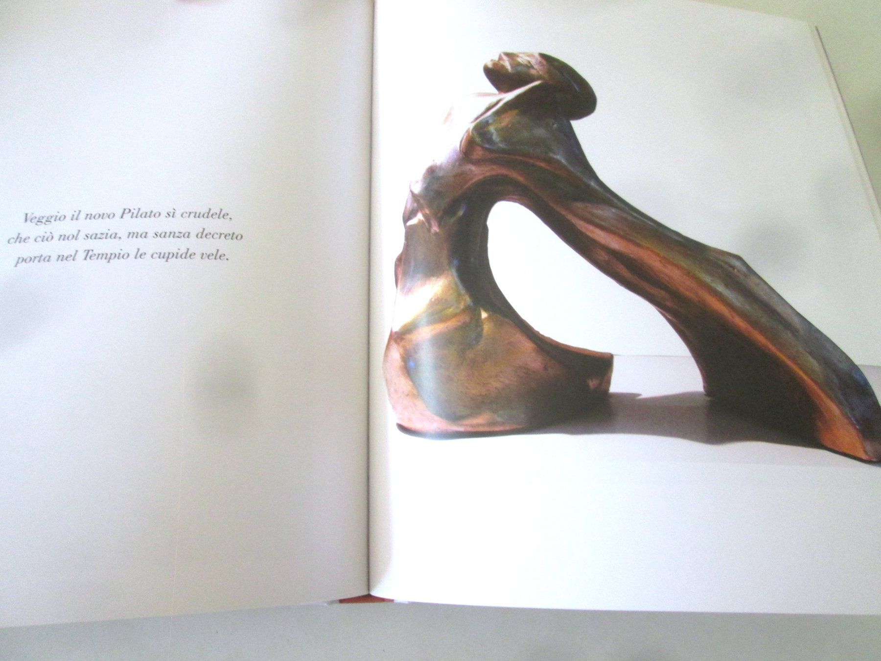 Libri: La commedia Dantesca, 2015 – Usato da Sementina venduto da babucia 2