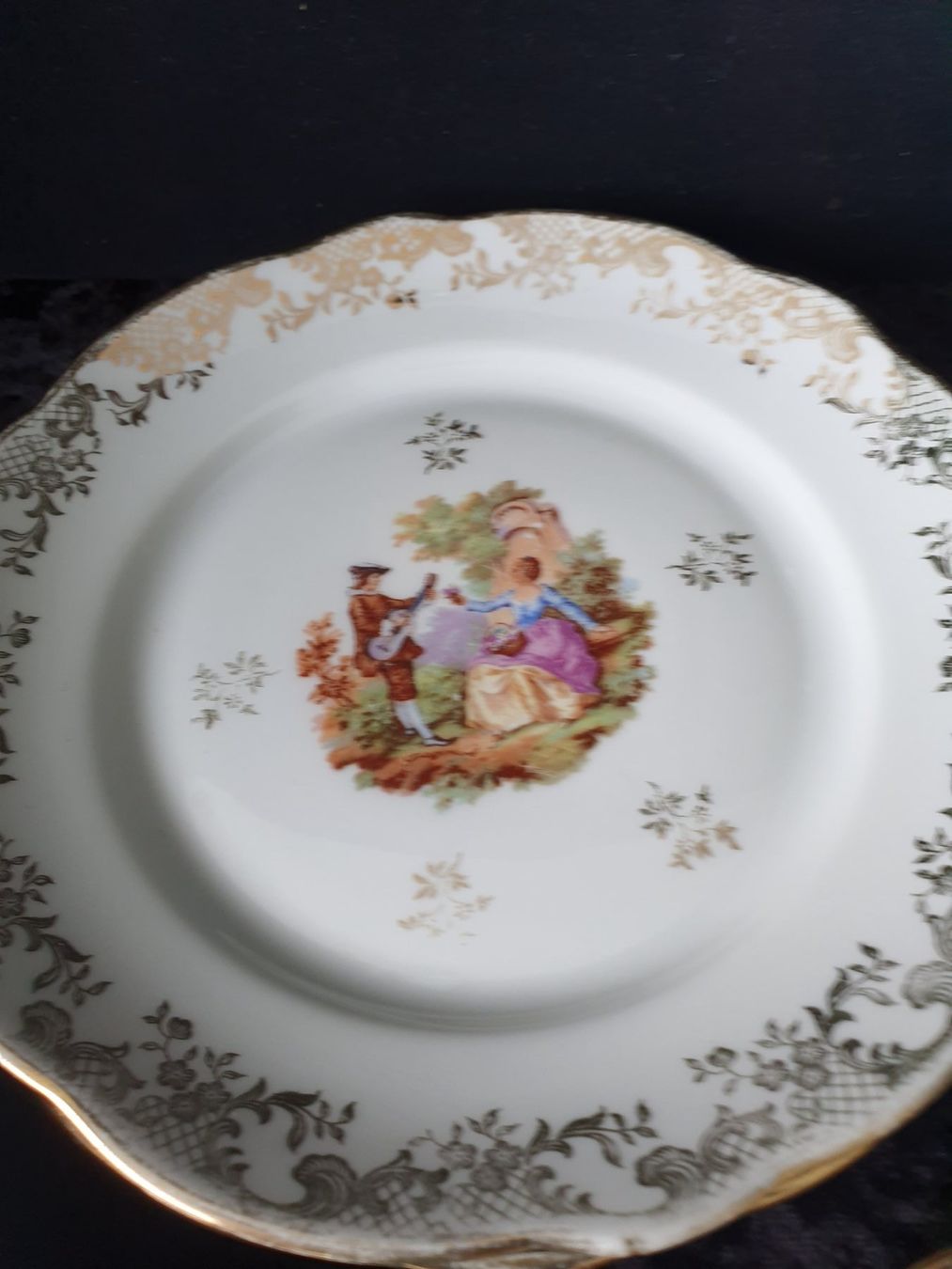 Piatti: 7 Dessert Teller Limoges – Usato da Reinach venduto da 3Guggerli 3