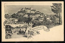Regensberg, Gesamtansicht und Strassenpa