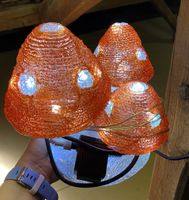 Pilze beleuchtet 