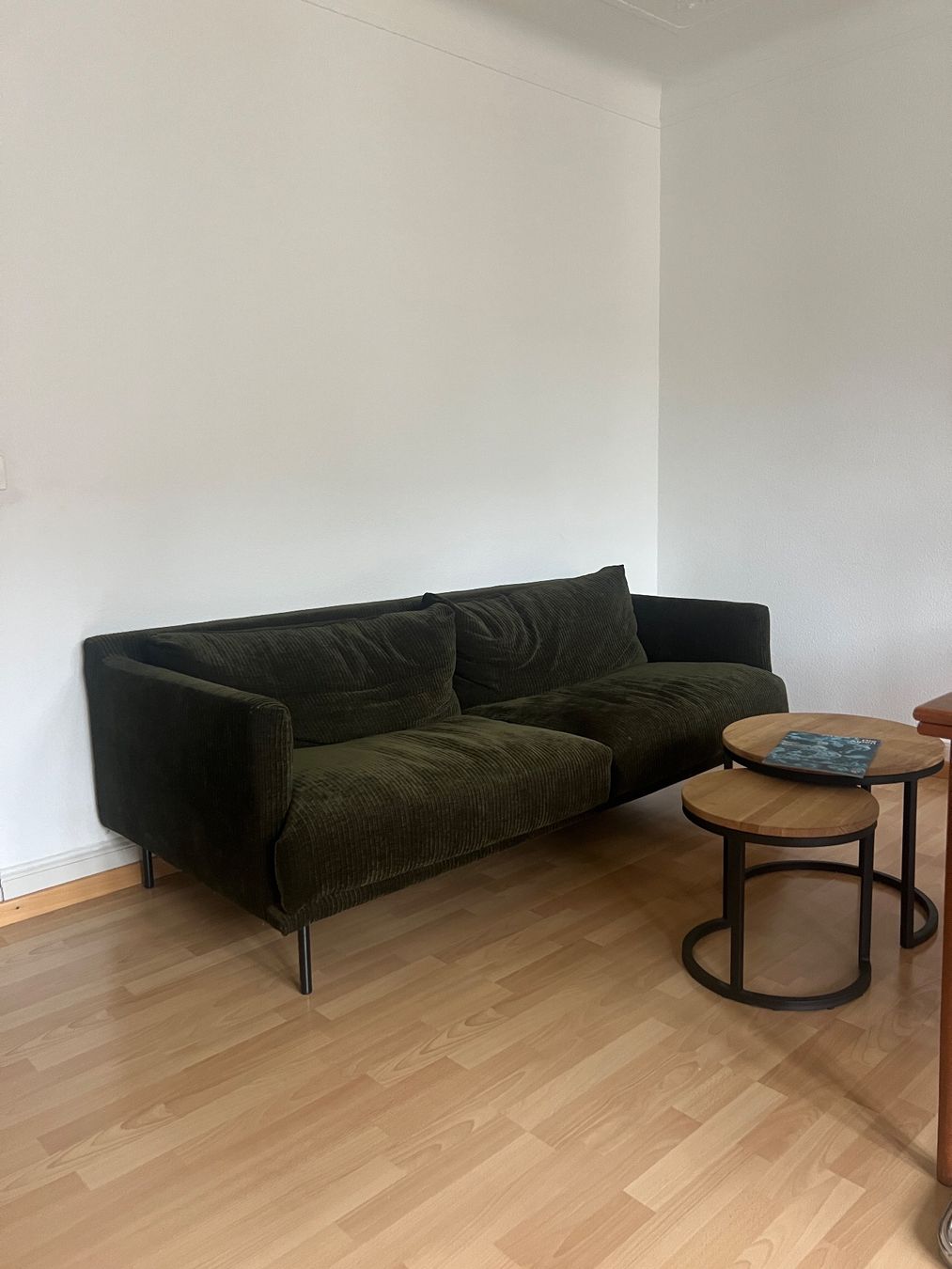 Pfister Divani: Dunkelgrünes Sofa – Usato da Zürich venduto da kue_j5fk 1