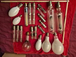 Diverse Sammlung gebrauchter Glühbirnen, Leuchtmittel