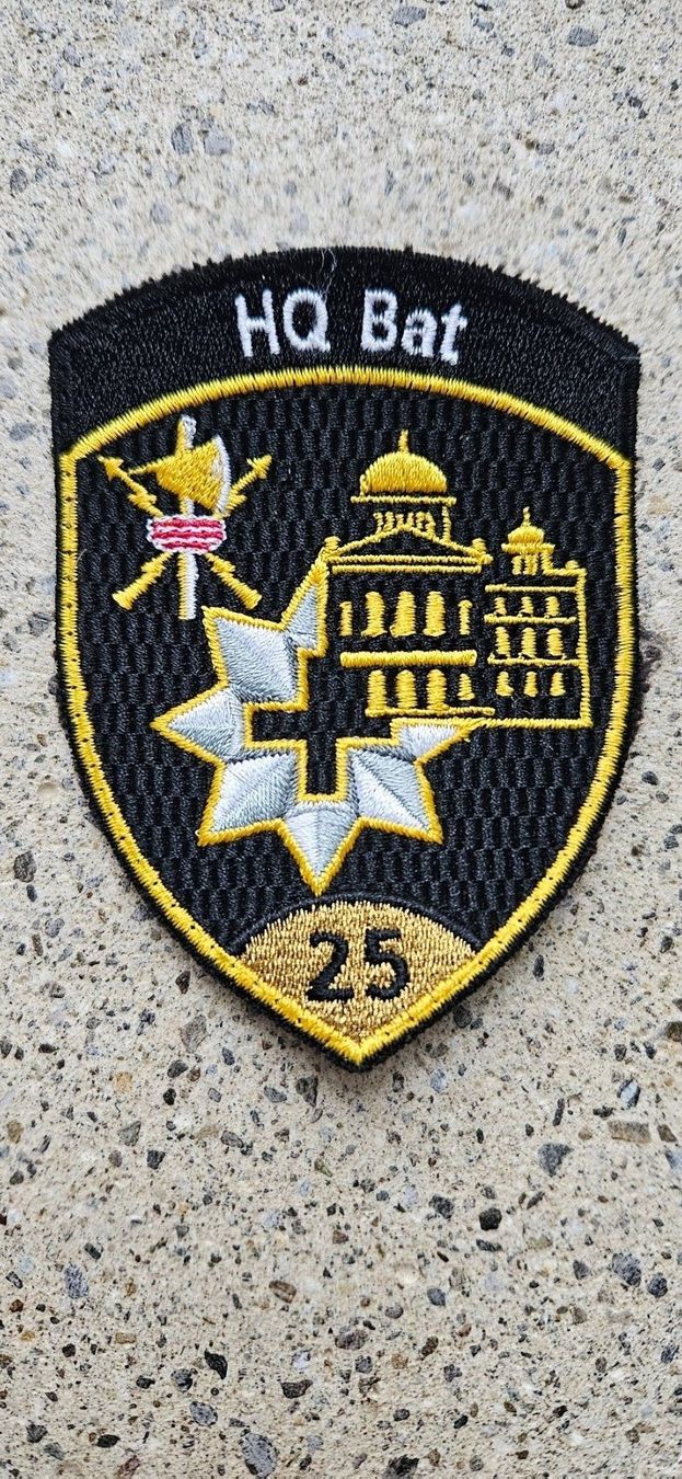 Schweizer Armee Placchette & Badge:  *** Badge HQ Bat ohne Klett ***  – Nuovo e nell'imballaggio originale da Riedholz venduto da fr_sIruP