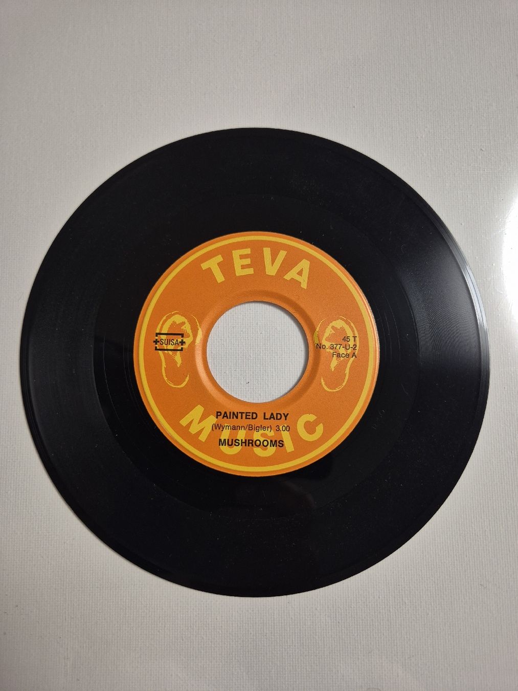 Dischi in vinile: Mushroom  - Painted Lady / Painful - Single 7 , CH – Nuovo (secondo la descrizione) da Uster venduto da newwave0 2