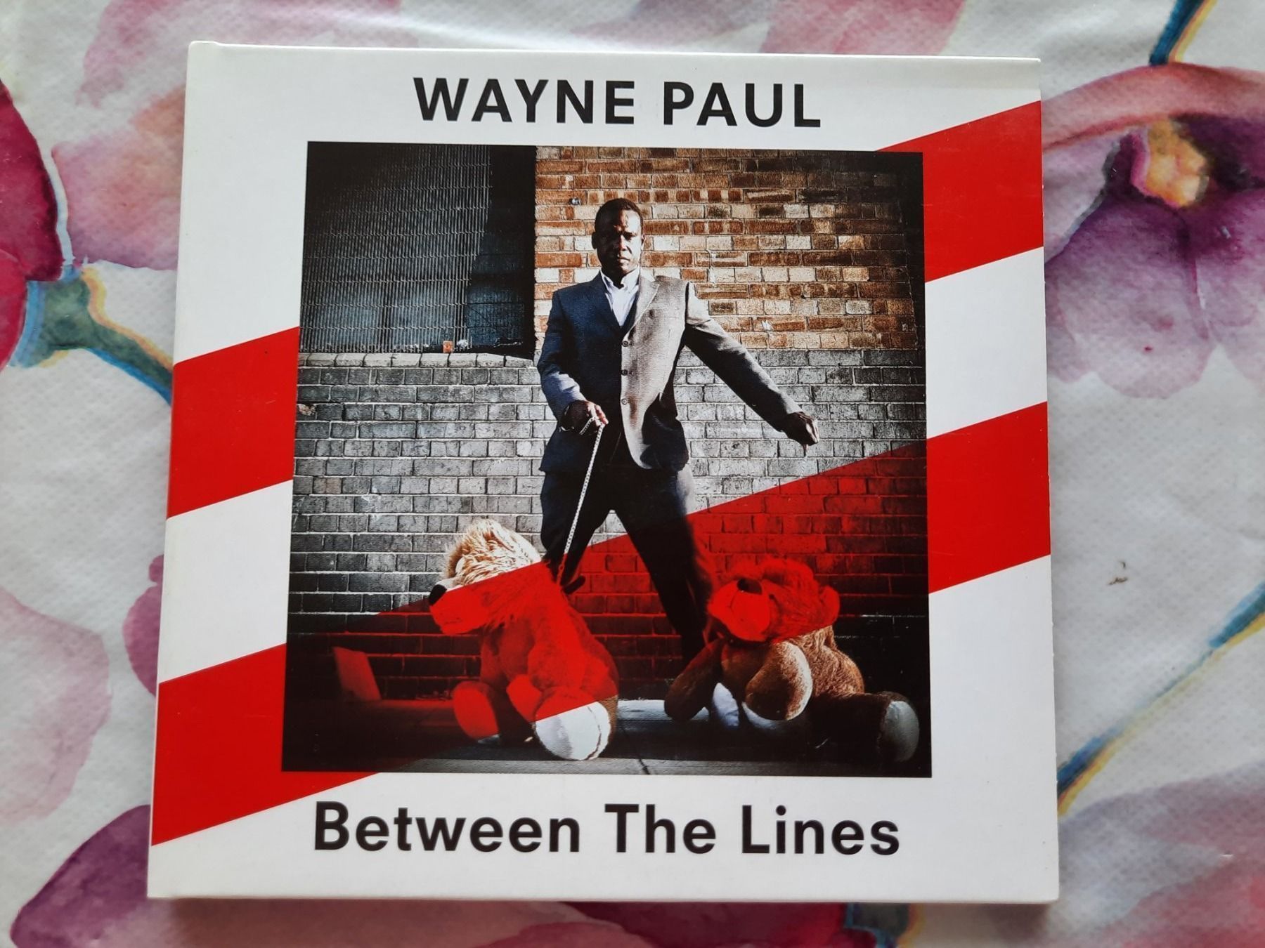 CD: CD Wayne Paul - Between the lines – Usato da Pully venduto da bro_n52j