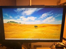 Acer KG241Q Gaming Monitor