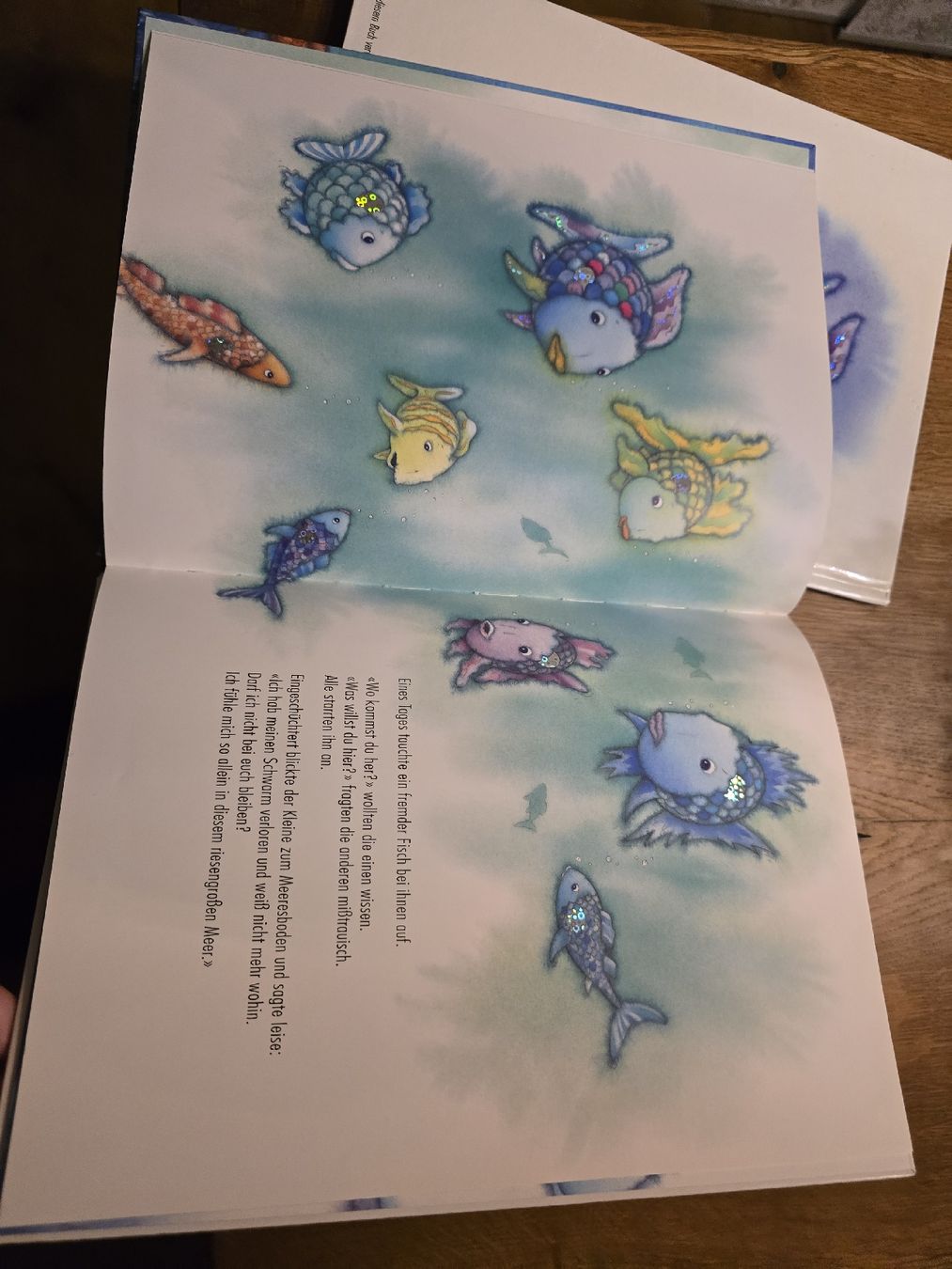 Libri: 2 Kinderbücher "Der Regenbogenfisch" set – Usato da Wittenbach venduto da Tigerlili 6