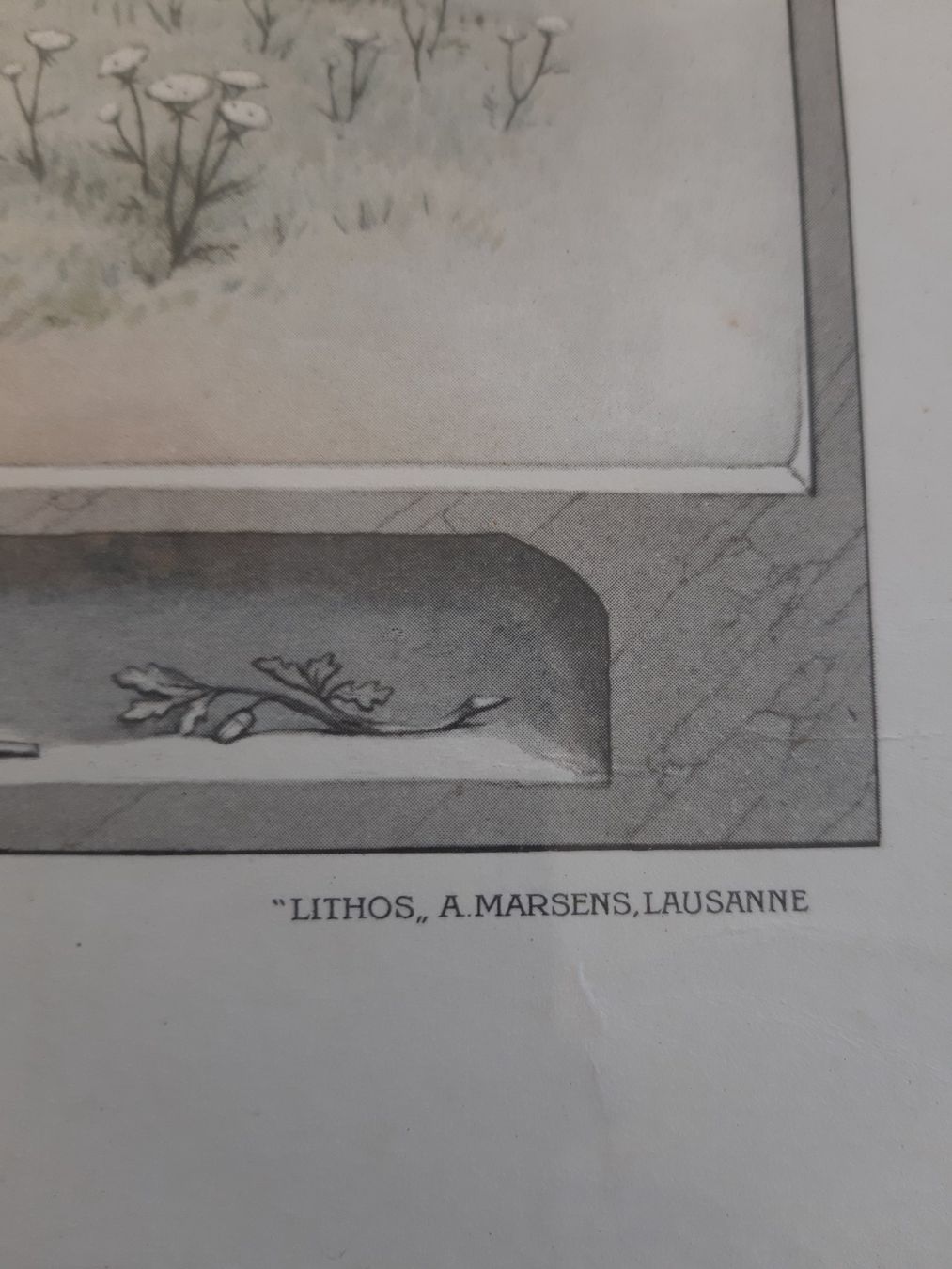 Stiche: Tableau – Gebraucht aus Aigle von Calcicole 3