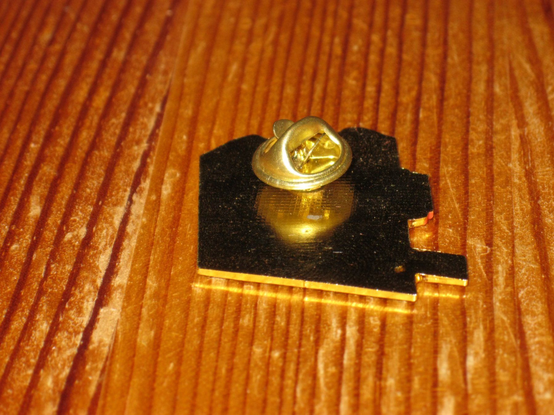 Placchette & Badge: Schynige Platte Bahn 100 Jahre Pin – Usato da Utzenstorf venduto da jue_5d6l 1