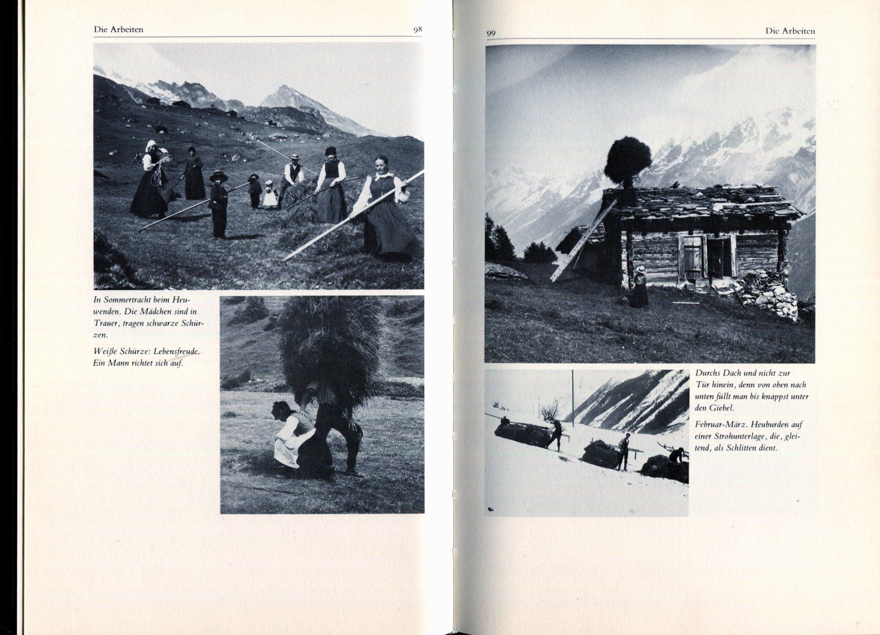Libri: Lötschental, Nyfeler – Usato da Aarau venduto da Elmaar41 4