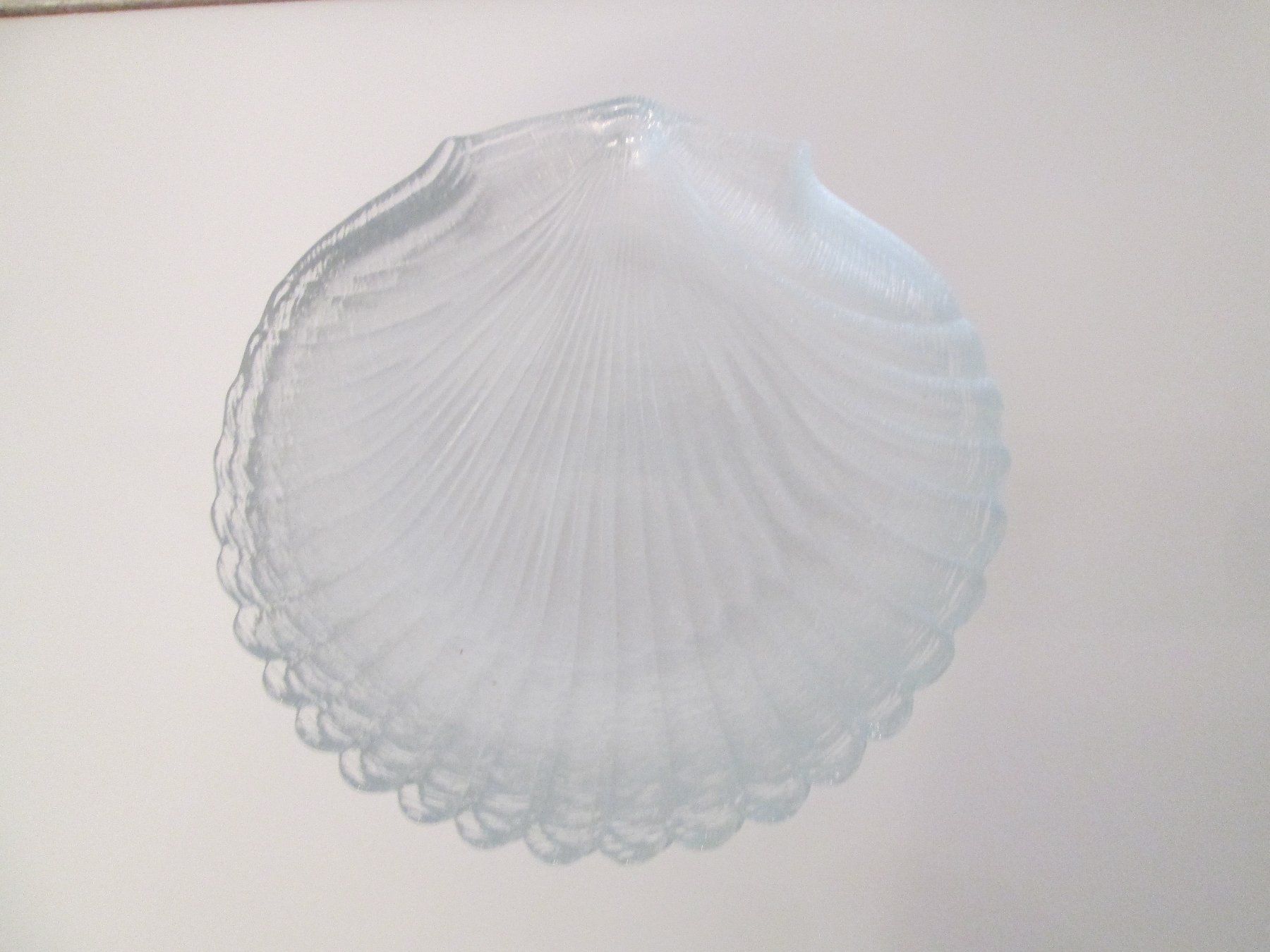 Piatti: 8  GlasTeller in Muschelform – Usato da Movelier venduto da ddomenika 2