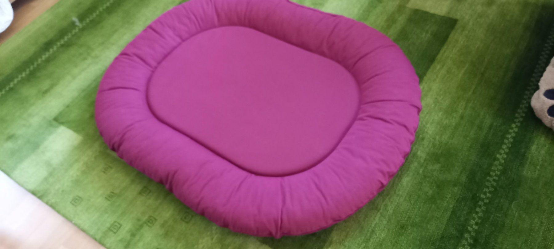 Liege- & Schlafplätze: Hundebett gross – Gebraucht aus Höri von bsc_68fw