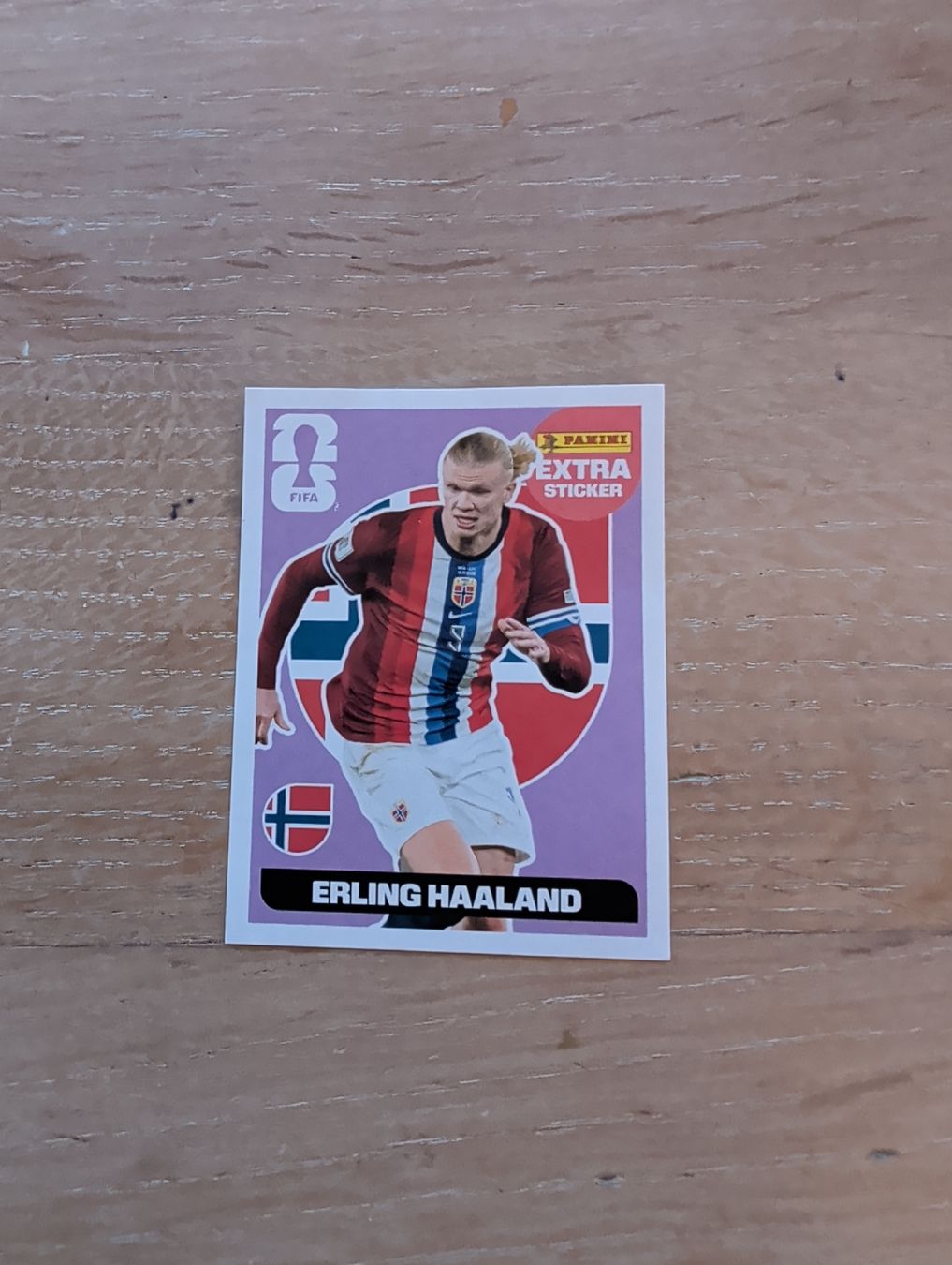 Panini Carte collezionabili: Erling Haaland Extra Sticker Panini – Nuovo (secondo la descrizione) da Unterengstringen venduto da MrBruno81