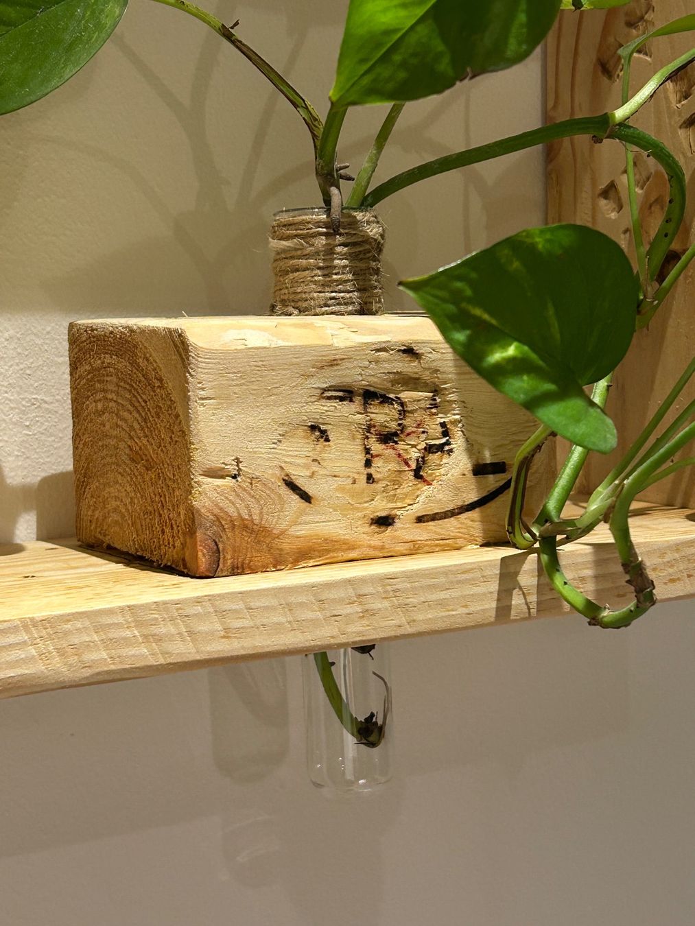 Scaffali: 2 Holz Wandregale, rechteckig – Nuovo (secondo la descrizione) da Zürich venduto da emkay13 3