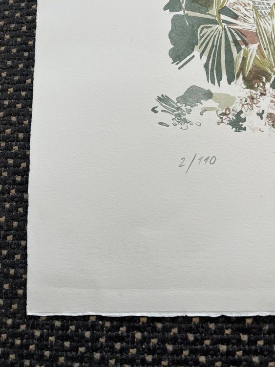 Grafica & Litografie: Camille Hagner    LITHOGRAPHIE SIGNIERT NUMMERIERT – Usato da Gersau venduto da kunst-online 5
