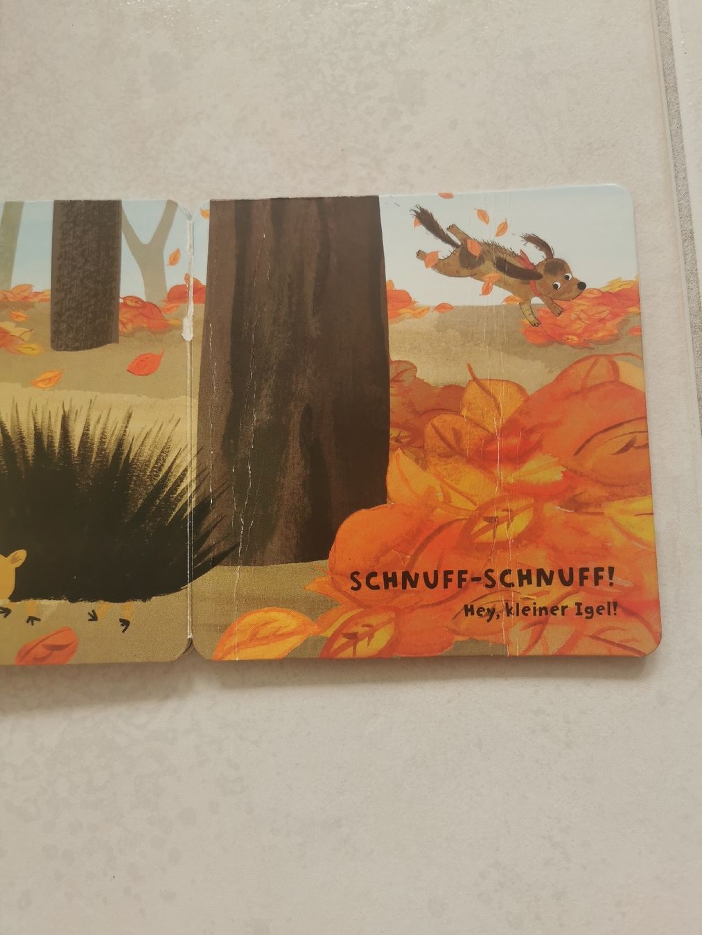 Libri: Bilderbuch "Schau mal meine Freunde"  – Usato da Brunnen venduto da JJaime 2