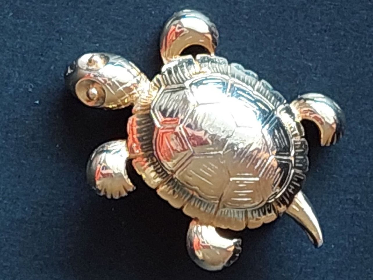 Spille & Fermagli: Brosche Schildkröte - Schmuckstück – Usato da Oberwil BL venduto da Kukkaniitty