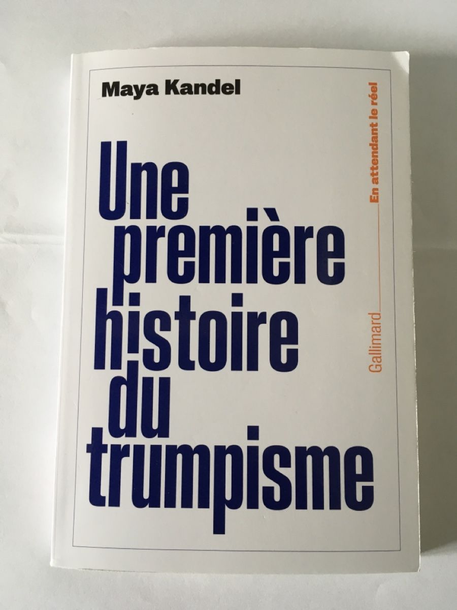 Livres: Une première histoire du trumpisme – D'occasion à Düdingen par pyl_dv98