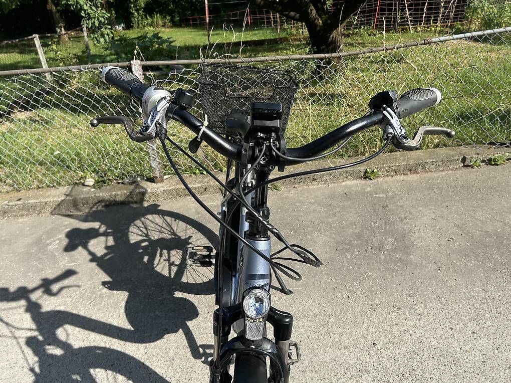 Flyer Biciclette: E-BIKE  / FLYER  / 25 km /h – Usato da Luzern venduto da Satbere 4