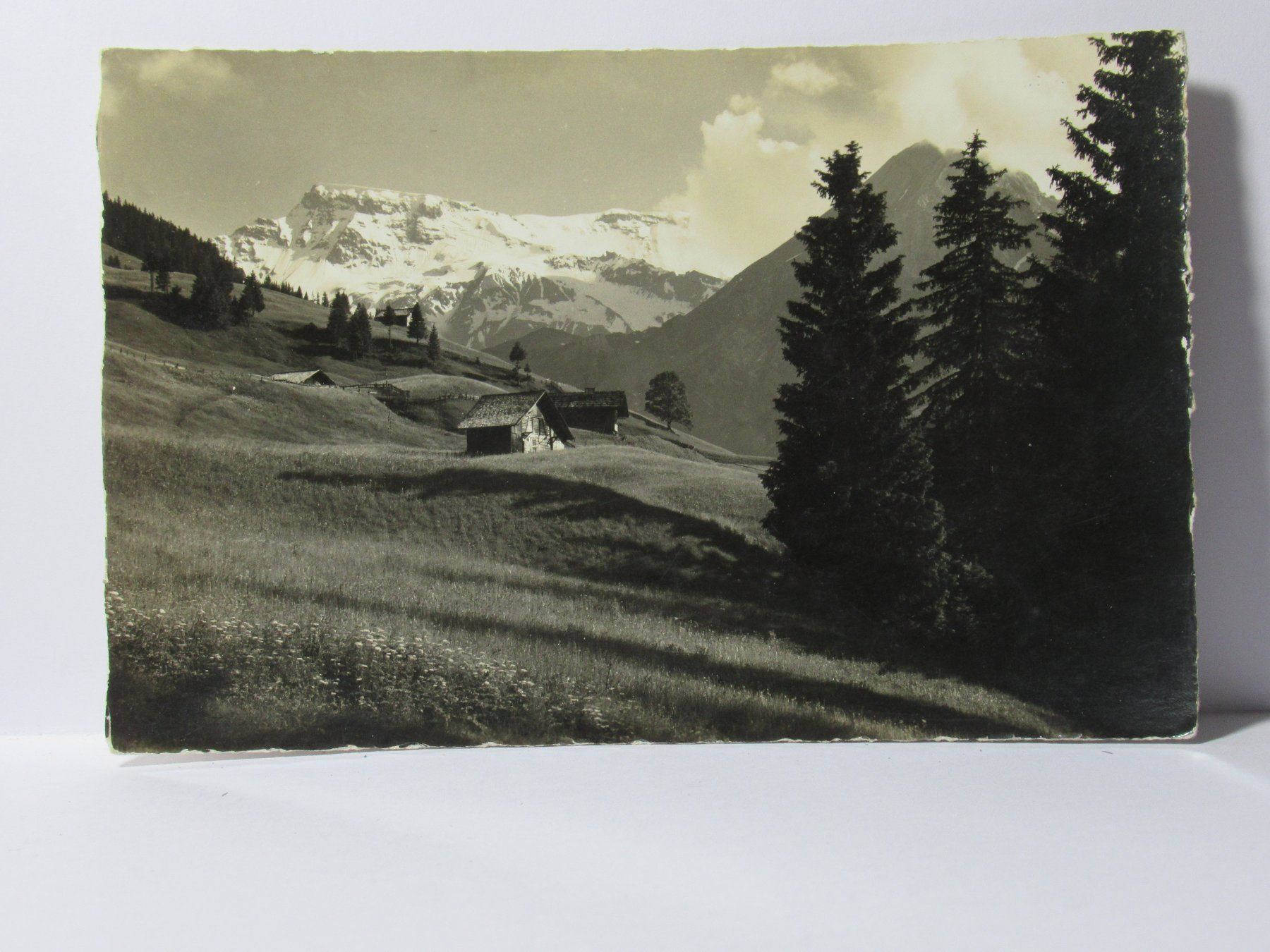 Cartoline postali: Adelboden , Steghorn , Wildstrubel , Fizer – Nuovo (secondo la descrizione) da Grenchen venduto da Bluemchen1900 1