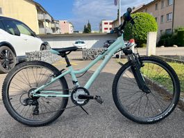 Kinder - Jugendbike Trek Precaliber 24"