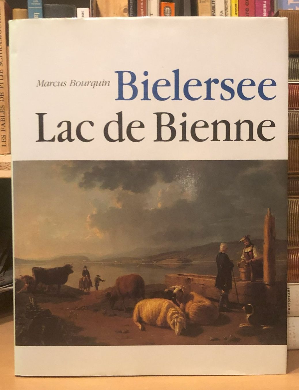 Libri: Livre de Marcus Bourquin "Bielersee / Lac de Bienne" – Usato da Bôle venduto da nic_7cxp