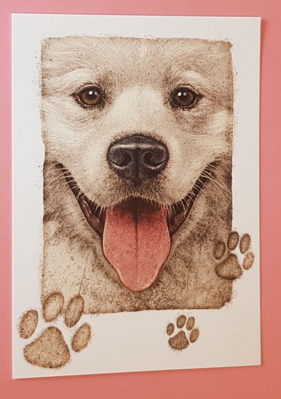 Cartoline: Postkarten 4 Subjekts TIERE – Nuovo e nell'imballaggio originale da Zürich venduto da Avd 3