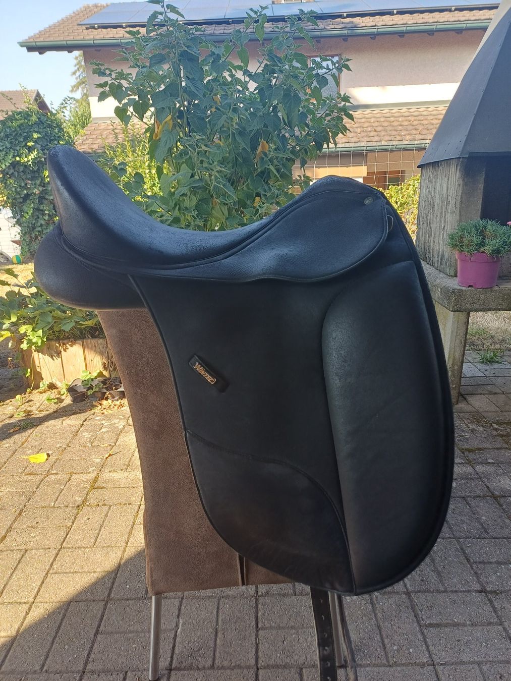 Selles, accessoires: Dressursattel Wintec – D'occasion à Roggliswil par sas_b8c8 1