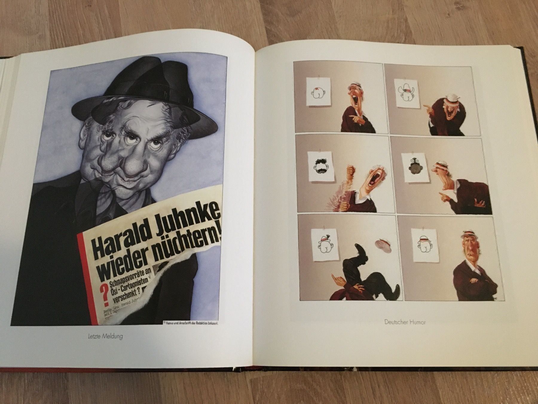 Libri: Buch - Think Positive - Die besten Cartoons - Haderer – Usato da Andwil SG venduto da Rainboli 5