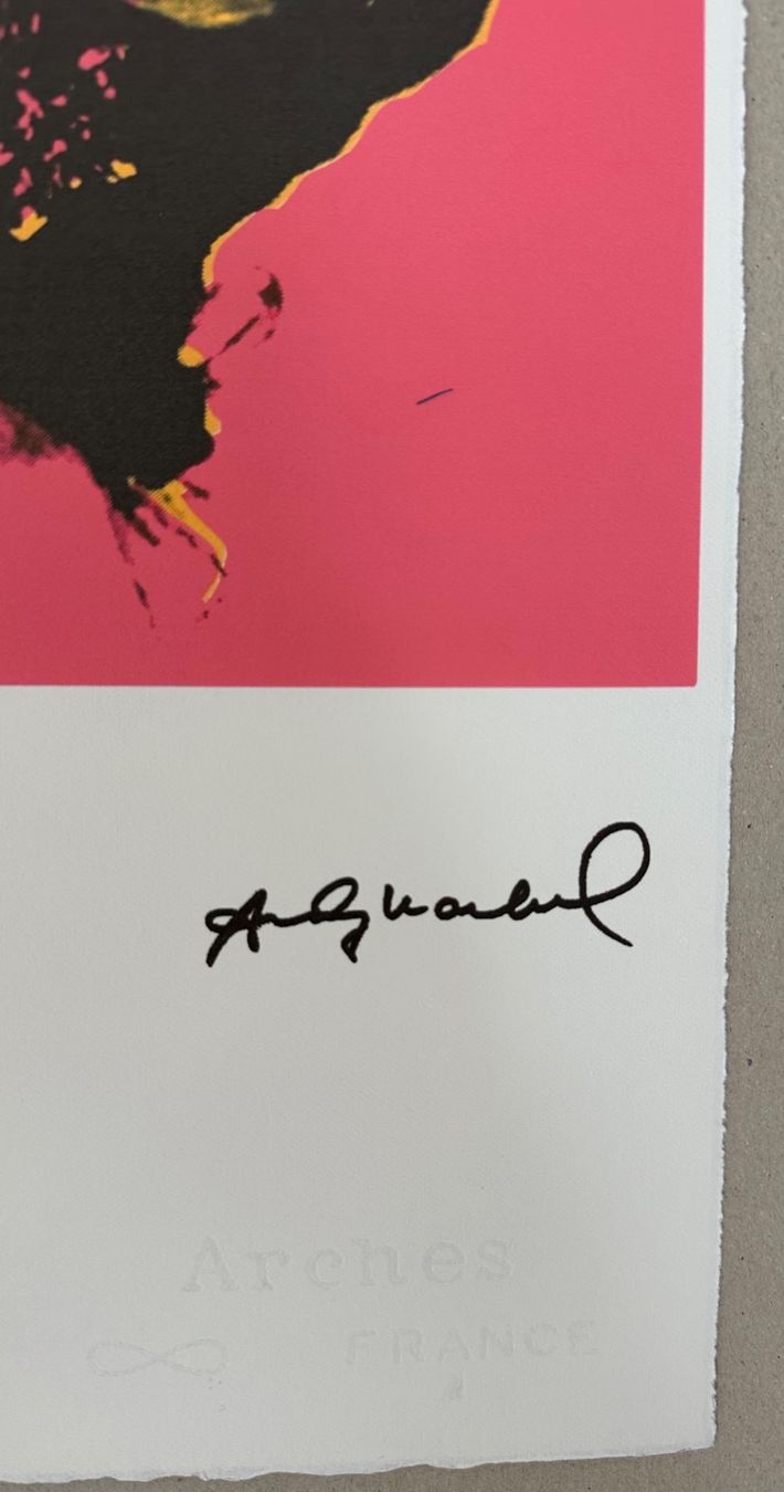 Foto & Immagini: Andy Warhol: Marilyn Monroe 53/100 – Nuovo (secondo la descrizione) da Meilen venduto da Smgdesign 2