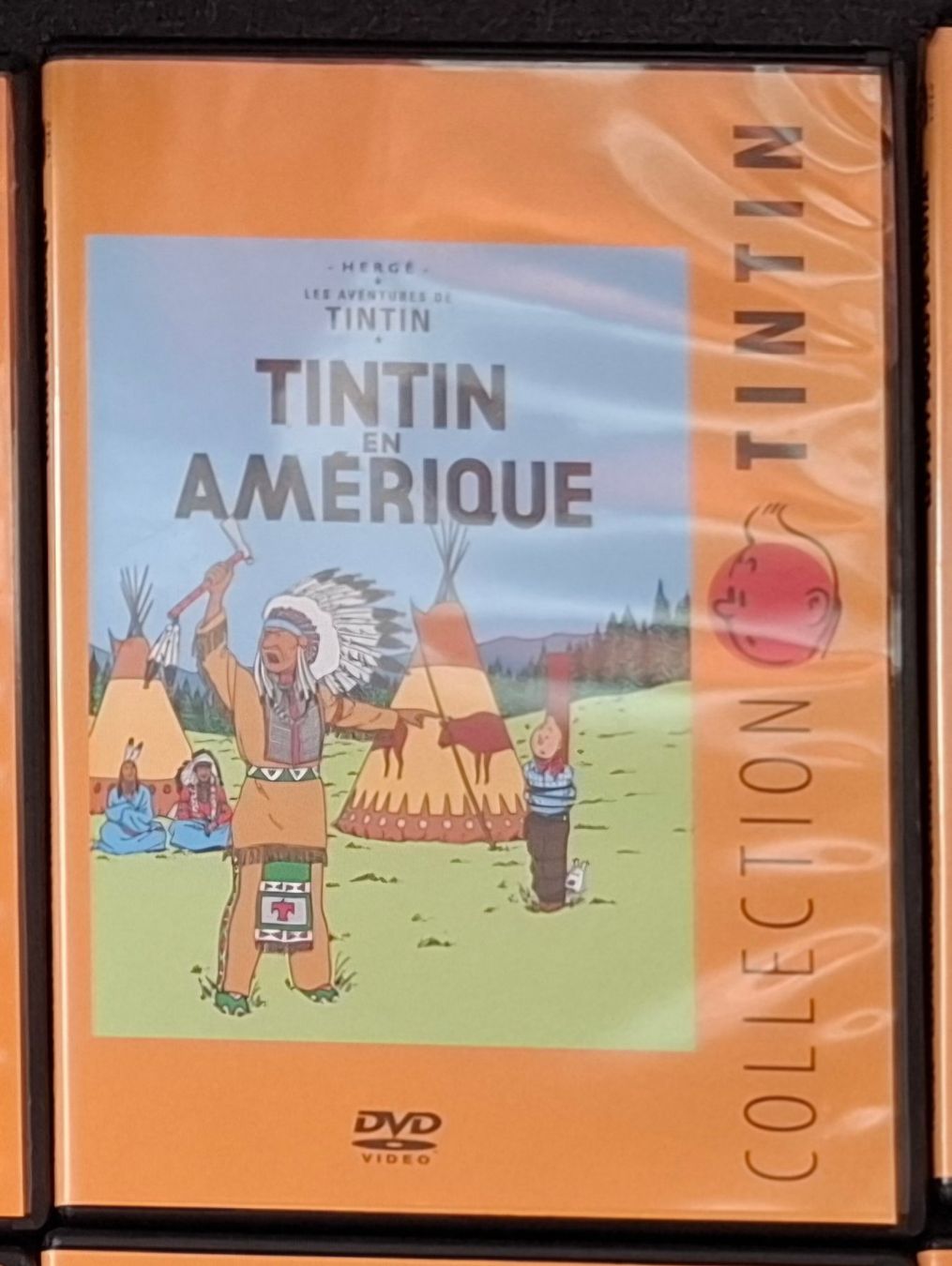Tutti i DVDs: DVD Collection Tintin – Usato da Lussery-Villars venduto da chanson99