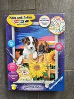 Ravensburger Malen nach Zahlen Romantik Hunde Neu OVP