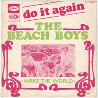 The Beach Boys - Do it again 7" Vinyl  France