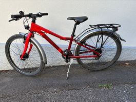 Velo: Crosswave Prime Rider EQ 24"