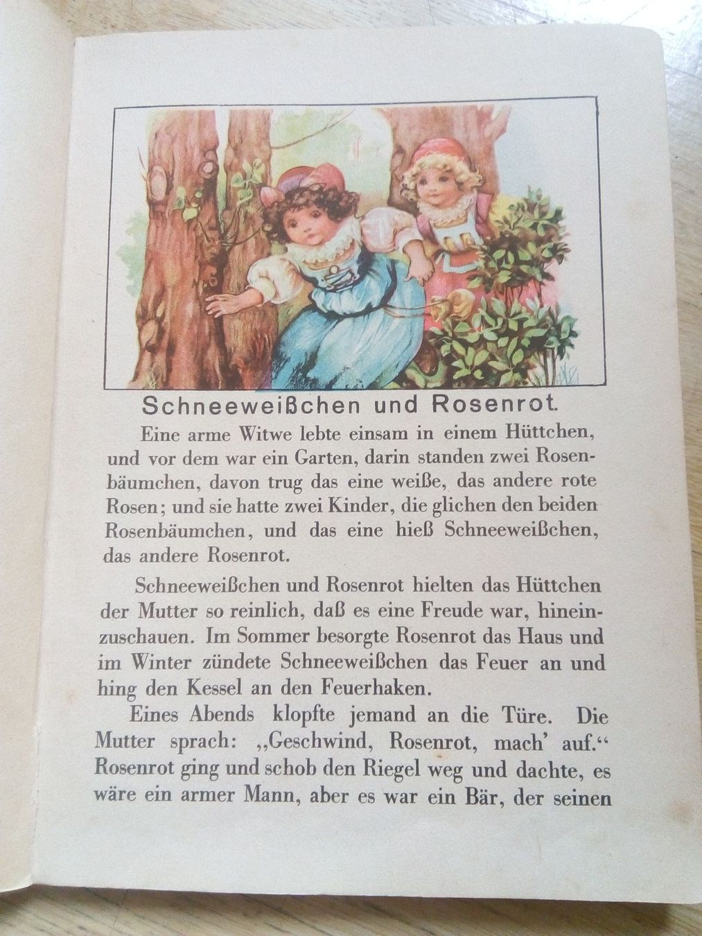 Libri: Rotkäppchen und andere Märchen von Gebrüder Grimm – Usato da St. Gallen venduto da elk2024 2